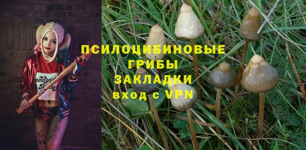 спайс Арсеньев