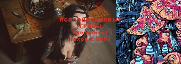 спайс Арсеньев